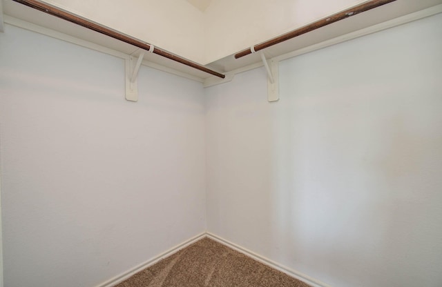 13831 Roman Ridge Ln, Houston, TX 77047 - photo 22