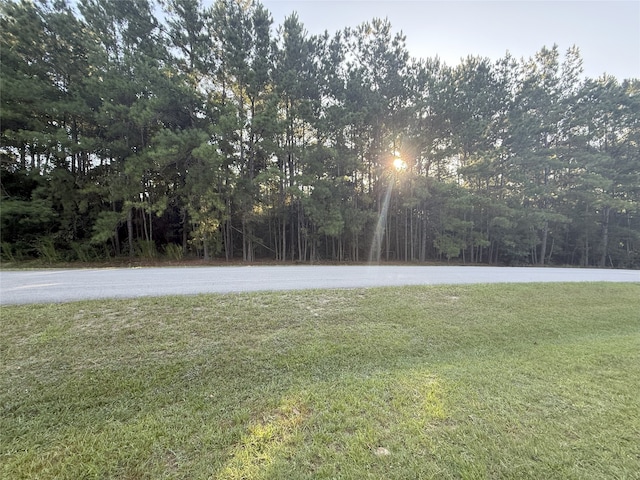 28523 Beth Marie, Magnolia, TX 77355 - photo 1