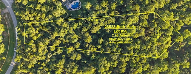 28523 Beth Marie, Magnolia, TX 77355 - photo 3