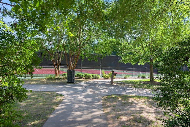 146 Kinnerly Peak Pl, Montgomery, TX 77316 - photo 44
