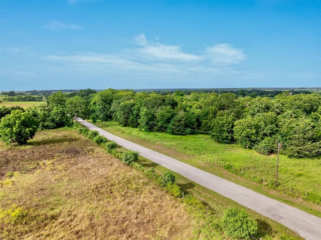 TBD Flewellen Rd, Brenham, TX 77833 - photo 3