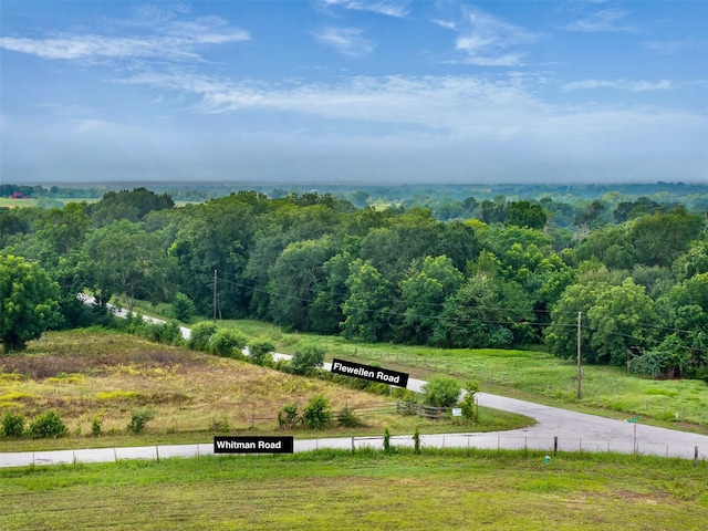 TBD Flewellen Rd, Brenham, TX 77833 - photo 4