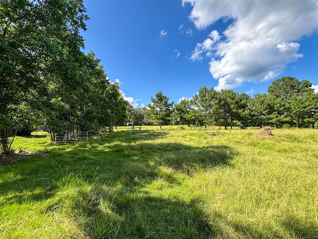 1533 County Road 348, Broaddus, TX 75972 - photo 18