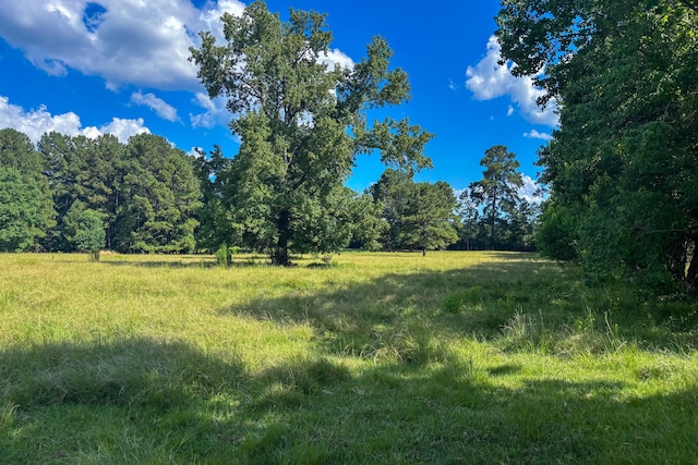 1533 County Road 348, Broaddus, TX 75972 - photo 23