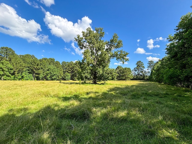 1533 County Road 348, Broaddus, TX 75972 - photo 14