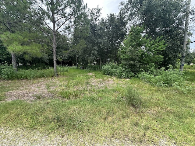 5110 Barbers Hill Rd, Baytown, TX 77521 - photo 28