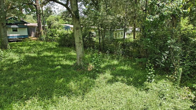 26232 Shadow Ln, New Caney, TX 77357 - photo 23