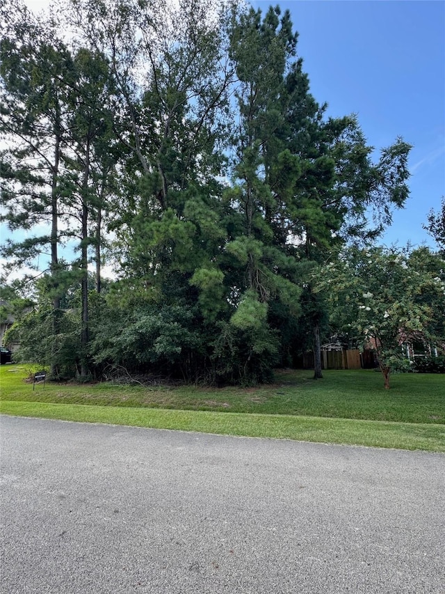 0 Dillon Dr, Magnolia, TX 77354 - photo 6