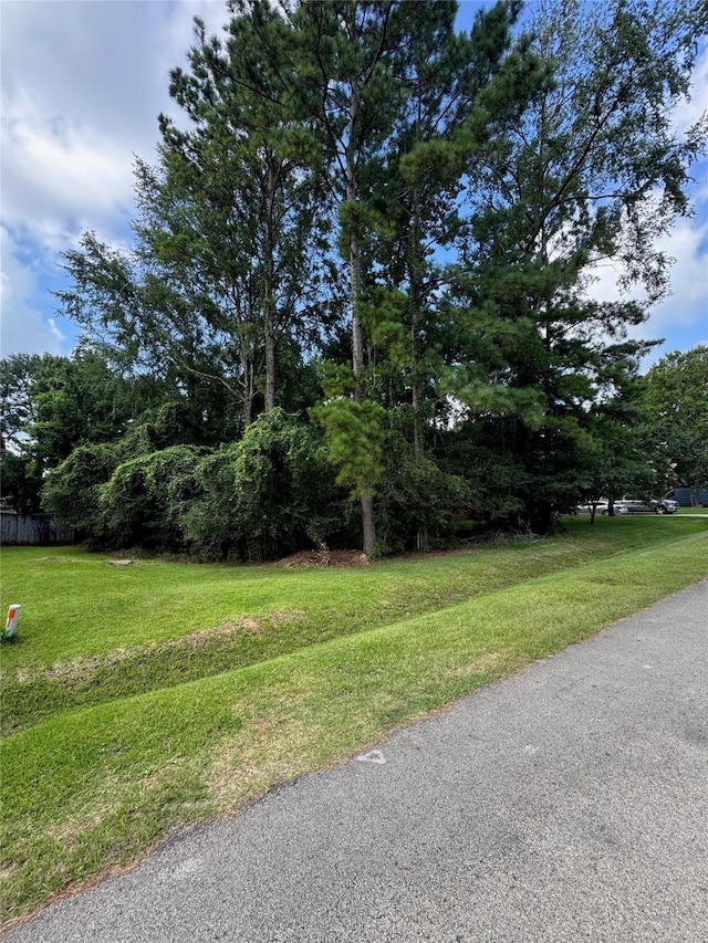0 Dillon Dr, Magnolia, TX 77354 - photo 2