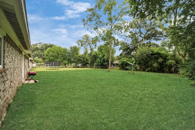 218 E Dumble St, Alvin, TX 77511 - photo 22
