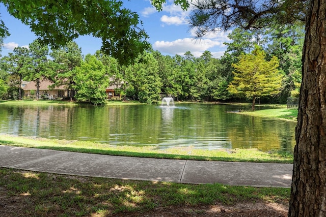 3 Bridgewood Cove Ct, The Woodlands, TX 77381 - photo 5