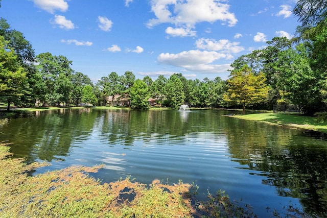 3 Bridgewood Cove Ct, The Woodlands, TX 77381 - photo 44