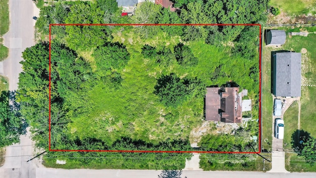 502 Fellows Rd, Houston, TX 77047 - photo 3