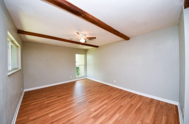 5826 Flamingo Dr, Houston, TX 77033 - photo 4