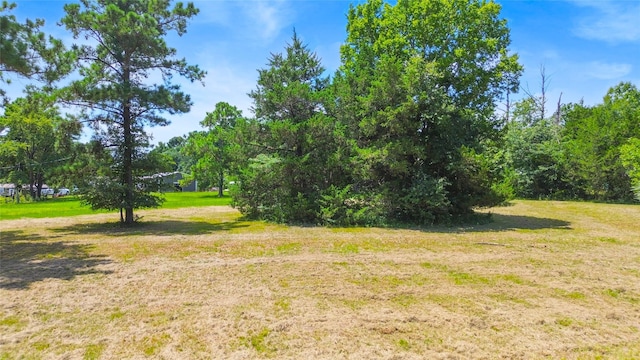 148 Lonesome Dove Trl, Trinity, TX 75862 - photo 4