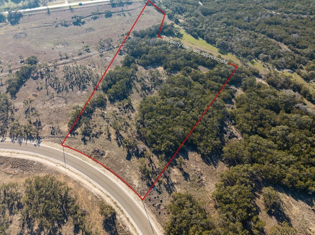 642 Windmill Ridge Dr, Blanco, TX 78606 - photo 10