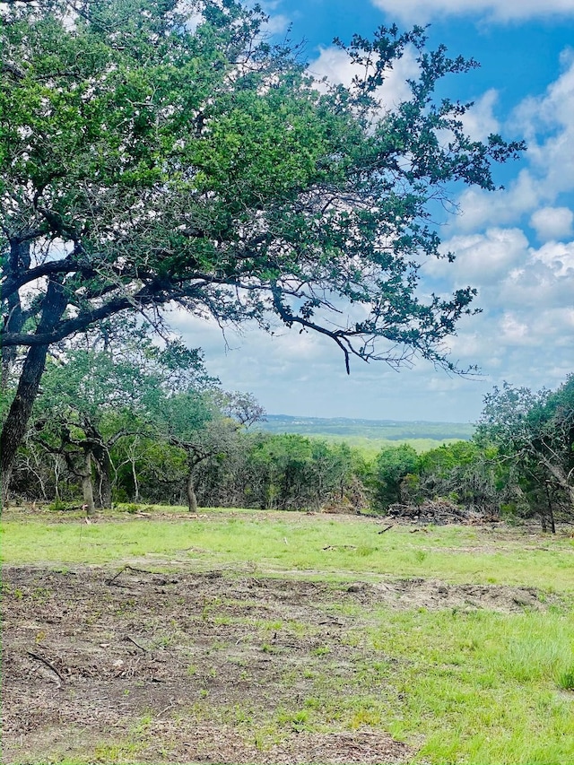 642 Windmill Ridge Dr, Blanco, TX 78606 - photo 11