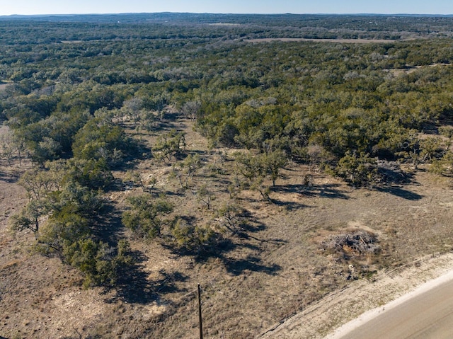 642 Windmill Ridge Dr, Blanco, TX 78606 - photo 15