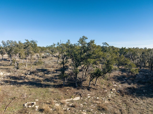 642 Windmill Ridge Dr, Blanco, TX 78606 - photo 16