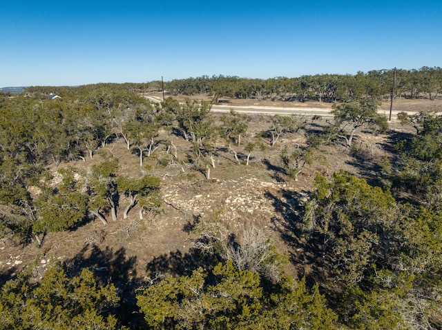 642 Windmill Ridge Dr, Blanco, TX 78606 - photo 6
