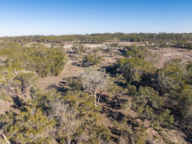 642 Windmill Ridge Dr, Blanco, TX 78606 - photo 8