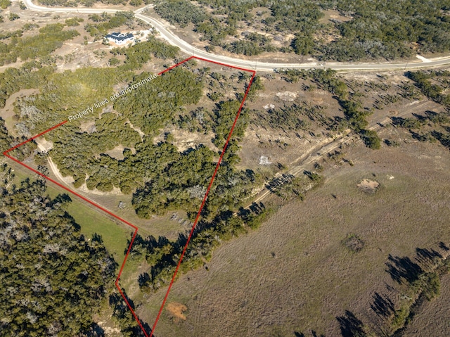 642 Windmill Ridge Dr, Blanco, TX 78606 - photo 1