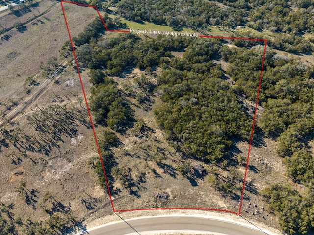 642 Windmill Ridge Dr, Blanco, TX 78606 - photo 3