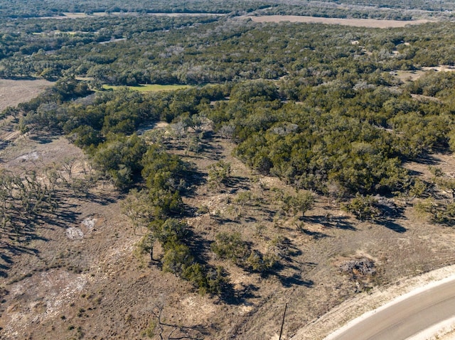 642 Windmill Ridge Dr, Blanco, TX 78606 - photo 17