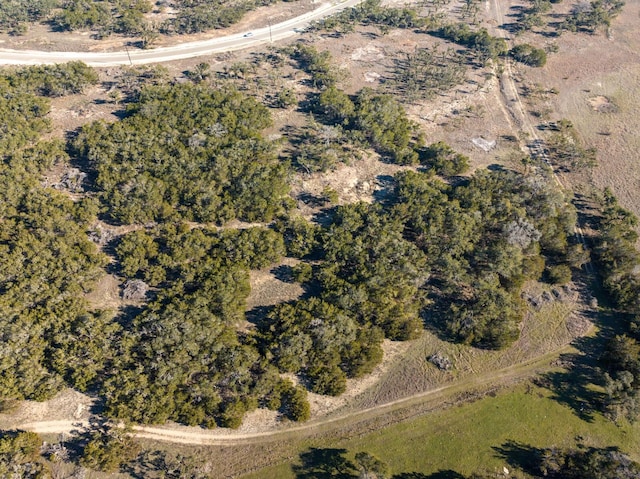 642 Windmill Ridge Dr, Blanco, TX 78606 - photo 18