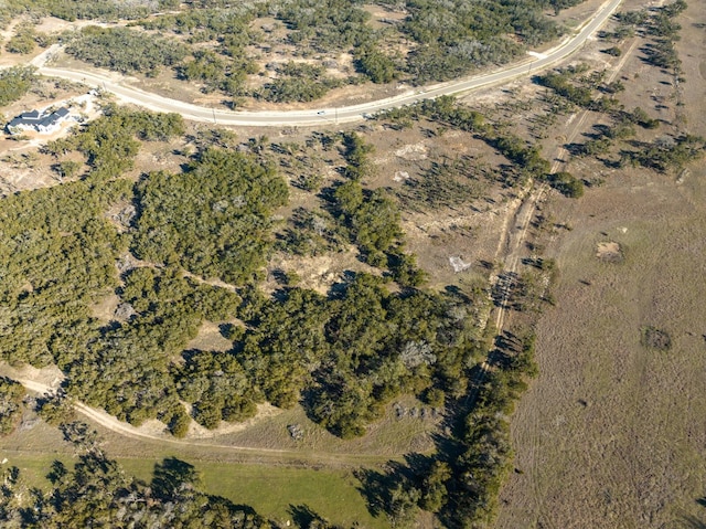 642 Windmill Ridge Dr, Blanco, TX 78606 - photo 20