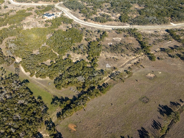 642 Windmill Ridge Dr, Blanco, TX 78606 - photo 21