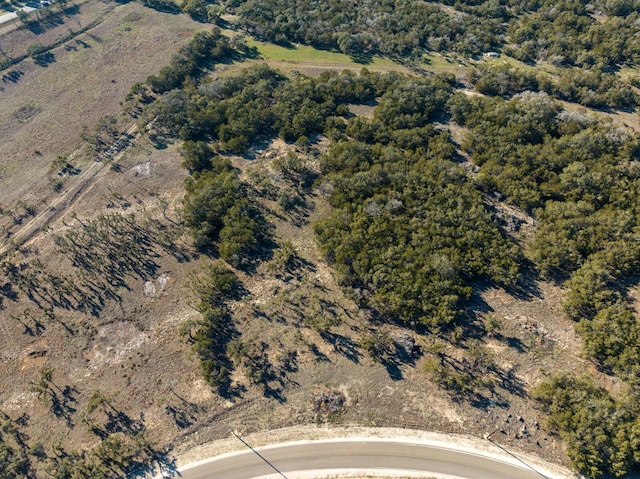 642 Windmill Ridge Dr, Blanco, TX 78606 - photo 24