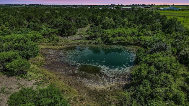 7935 Fm 2447, Chappell Hill, TX 77426 - photo 5
