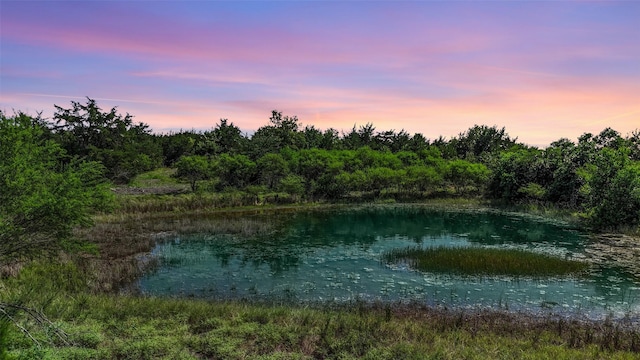 7935 Fm 2447, Chappell Hill, TX 77426 - photo 19