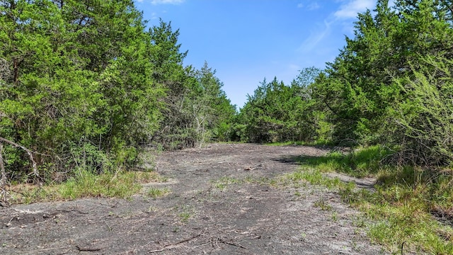 7935 Fm 2447, Chappell Hill, TX 77426 - photo 10