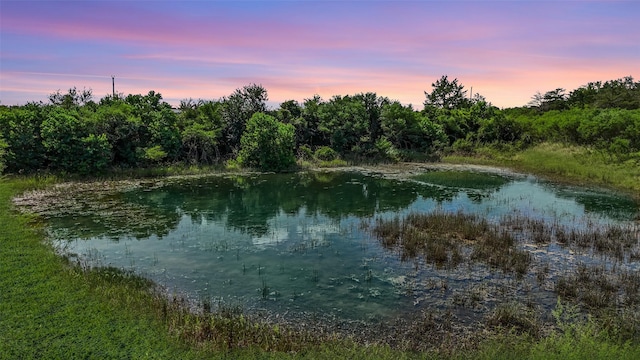7935 Fm 2447, Chappell Hill, TX 77426 - photo 21