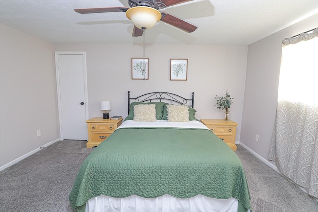 7011 Thornwild Rd, Houston, TX 77489 - photo 17