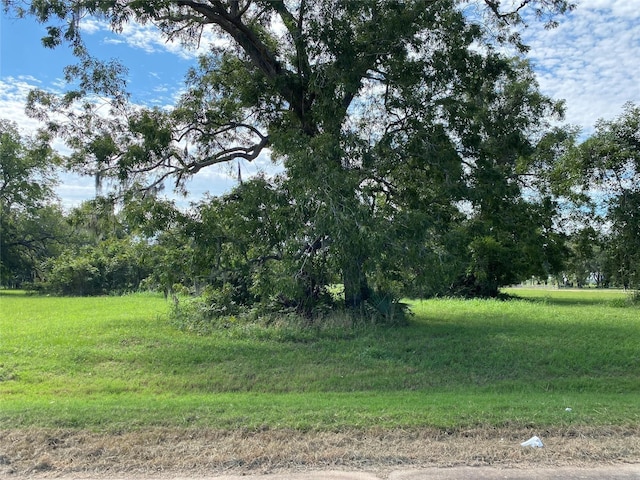106 Horse Shoe Trl, Angleton, TX 77515 - photo 2