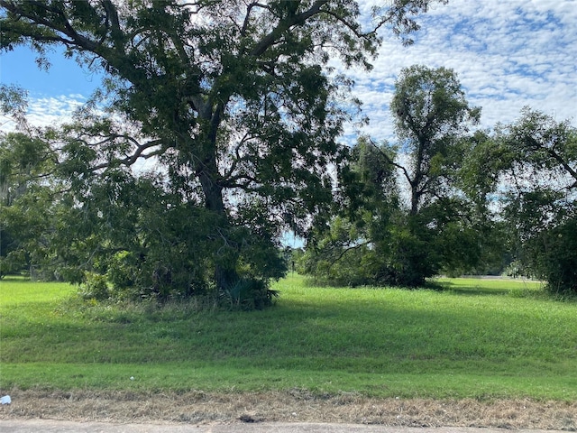 275 Horse Shoe Trl, Angleton, TX 77515 - photo 4