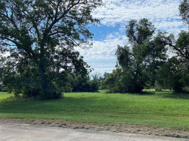 275 Horse Shoe Trl, Angleton, TX 77515 - photo 5