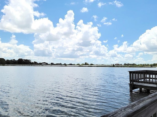 275 Horse Shoe Trl, Angleton, TX 77515 - photo 9