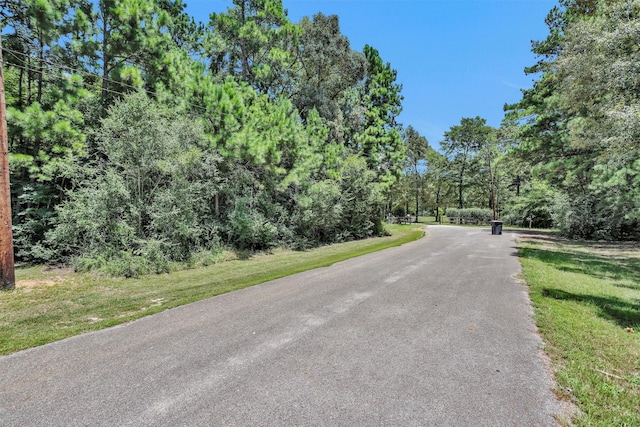 LOT16 Ed Dr, Magnolia, TX 77355 - photo 11