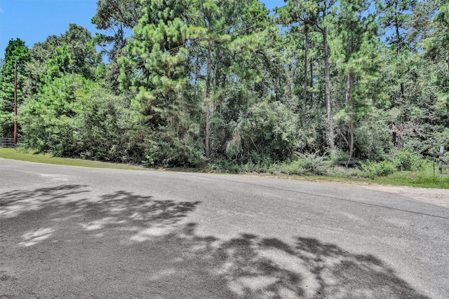 LOT16 Ed Dr, Magnolia, TX 77355 - photo 12