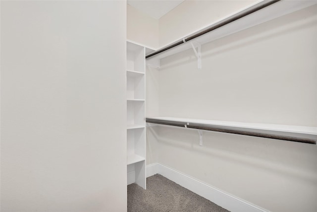 5451 Larkin St, Houston, TX 77007 - photo 25