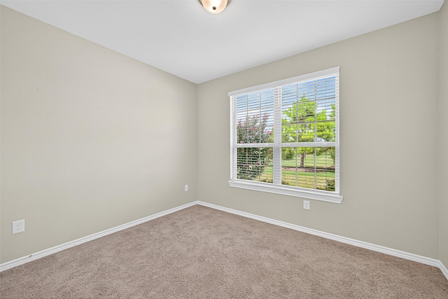 23235 Mulberry Thicket Trl, Katy, TX 77493 - photo 40