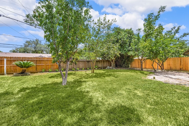 1510 Spillers Ln, Houston, TX 77043 - photo 40