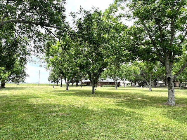 1518 County Road 307, El Campo, TX 77437 - photo 40