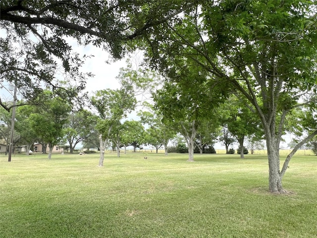 1518 County Road 307, El Campo, TX 77437 - photo 41