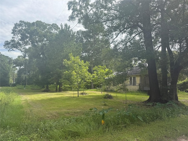 210 County Road 3992, Cleveland, TX 77328 - photo 4