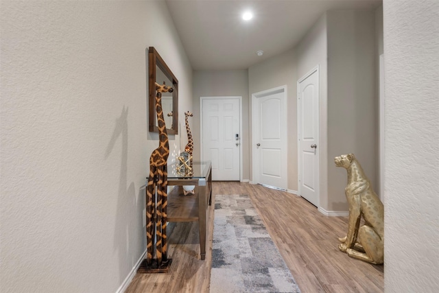 6031 Purple Iris St, Katy, TX 77449 - photo 3